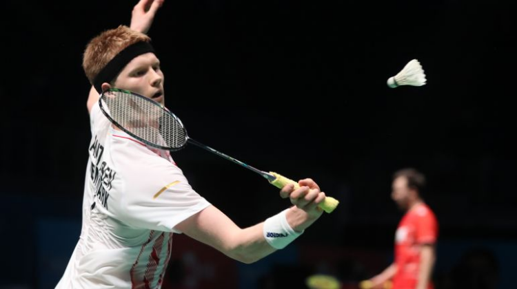 界赛车的 界赛车的